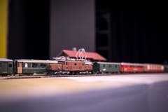 Amriswil TG - Erstmals wurde im Pentorama Amriswil eine Spielwaren- und Modelleisenbahn-Börse durchgeführt. Das Interesse war laut dem Organisator gross.