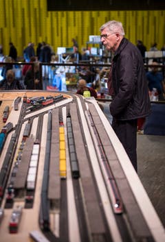 Amriswil TG - Erstmals wurde im Pentorama Amriswil eine Spielwaren- und Modelleisenbahn-Börse durchgeführt. Das Interesse war laut dem Organisator gross.