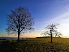 Die ersten Sonnenstrahlen erleuchten die Naturlandschaft. Ein weiterer wunderbarer Sonnentag steht uns bevor. (Bild: Urs Gutfleisch (Ruswil, 24. Februar 2019))
