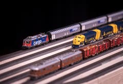 Amriswil TG - Erstmals wurde im Pentorama Amriswil eine Spielwaren- und Modelleisenbahn-Börse durchgeführt. Das Interesse war laut dem Organisator gross.
