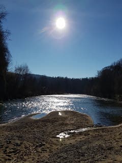 Die Morgensonne lässt die Thur glitzern. (Bild: Reto Schlegel)