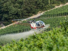 Der Einsatz synthetischer Pestizide in der Landwirtschaft soll verboten werden. Das fordert die Gruppe"future3.0», die hinter der Initiative «Für eine Schweiz ohne synthetische Pestizide» steht. (Bild: KEYSTONE/ALESSANDRO DELLA VALLE)