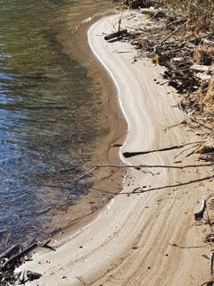 Sandstrand an der Thur im Ghögg. (Bild: Reto Schlegel)