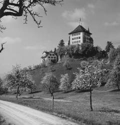 (Bild: Paul Weber/LZ, 14.4.1951)