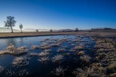 Kalter Morgen mit Raureif. (Bild: Vinzenz Blum, Wauwilermoos, 26. Februar 2019)