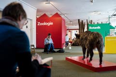 Bei einem Sketchcrawl versammeln sich kreative Köpfe an einem Ort in ihrer Stadt, um zu zeichnen. Kürzlich auch im Naturmuseum auf Einladung der neu gegründeten Urban Sketchers Luzern. Einige Impressionen. (Bilder: Philipp Schmidli, Luzern, 24. Februar 2019)