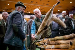 Gelernt ist gelernt: Dem fachmännischen Blick entgeht nichts. (Bilder: Philipp Schmidli)