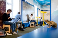 Der Anlass ist gratis, ausser es besteht ein regulärer Eintritt wie hier im Museum, und steht allen Interessierten offen. Vorkenntnisse sind nicht nötig.