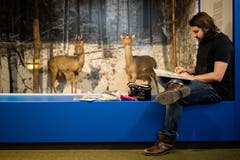 Der Luzerner Künstler und Lehrer Amadeus Waltenspühl (34) besucht für einmal ohne Grafik-Fachklasse das Naturmuseum.