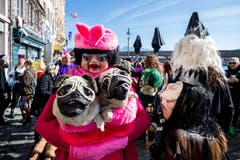 Der Schmutzige Donnerstag in der Stadt Luzern: Farbenfroh, ausgefallen, rüüüdig. (Bild: Philipp Schmidli)