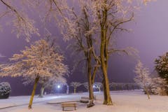 Mystisches Farbenspiel in Zug. (Bild: Daniel Hegglin, Zug, 3. Februar 2019)