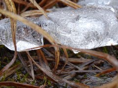 Eiszeit am Hasensee. (Bild: Stephan Lendi)