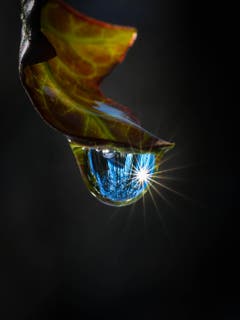 Tauwetter – die Sonne strahlt durch diesen Wassertropfen. (Bild: Petra Jung, Hämikon, 2. Februar 2019)