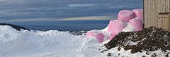 "Think pink!" auf der Hohen Buche. (Bild: Walter Schmidt)