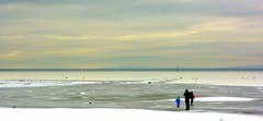 Besuch am Bodensee bei Höchst. (Bild: Hans Adelmann)