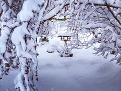 Verschneit in Unterägeri. (Bild: Silke Schmidt, Unterägeri, 3. Februar 2019)