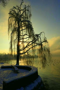 Morgenstimmung am See. (Bild: Buholzer Walter, Luzern, 4. Februar 2019)