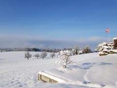 Morgensonne mit Schneelandschaft. (Bild: Pamela Zingale (Hildisrieden, 4. Februar 2019)