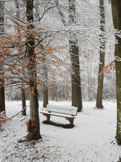Der Winter ist zurück in Hohentannen. (Bild: Reto Schlegel)