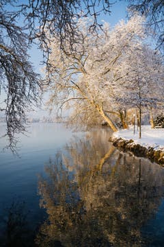 Ein herrlicher Winterwochenstart im Villettenpark Cham. (Bild: Anita Imfeld-Leu, Cham, 4. Februar 2019)