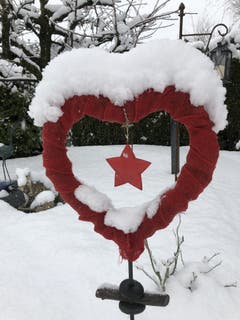 Bald ist Valentinstag. (Bild: Regina Sapin (Rotkreuz, 3. Februar 2019))