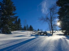 Winterimpression auf dem Raten. (Bild: Peter Bumbacher, Raten, 5. Februar 2019)