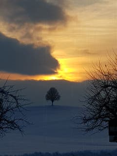 Abendstimmung in Hauptwil. (Bild: Reto Schlegel)