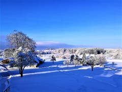 Wunderbare Morgenstimmung im Winterwunderland von Neudorf. (Bild: Urs Gutfleisch, Neudorf, 4. Februar 2019)