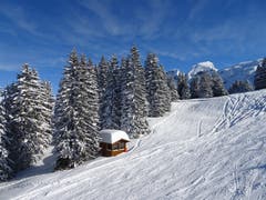 Im Hochybrig hat es sehr viel Schnee. (Bild: Walter von Holzen (Hochybrig, 4. Februar 2019))