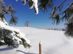 Sonne und Schnee pur in Schwellbrunn. (Bild: Roland Vogt)