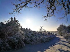 Winterliche Impressionen von Neudorf. (Bild: Urs Gutfleisch (Neudorf, 4. Februar 2019))