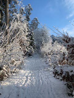 Schönstes Winterwunderland in Frauenfeld, Pfaffenholz. (Bild: Christina Bernold)