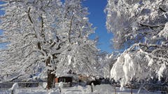 Traumhafter Winter in Herisau. (Bild: Bruno Inauen)