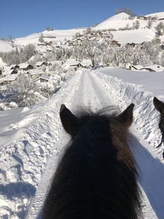 Herrlicher Winterausritt in der Lifelen. (Bild: Hanny Odermatt, Lifelen, 5. Februar 2019)