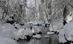 Abenteuer Winterwanderweg an der Thur entlang zwischen Krummenau und Nesslau. (Bild: Martin Giger)