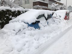 Winterfreuden in der Stadt St. Gallen. (Bild: Suzanne Eggenberger)