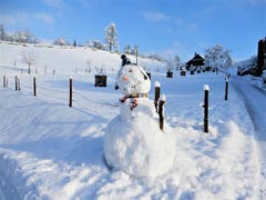 Gross und stark muss man als Schneemann sein, dann können die wärmeren Tage auch nicht so schnell einen Schaden anrichten! (Bild: Margrith Imhof-Röthlin, Meggen, 4. Februar 2019)