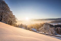 Wunderschöne verschneite Landschaft im Morgenlicht bei Kirchberg. (Bild: Marc Bollhalder)