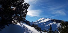 Auf dem Schneeschuhtrail zwischen Ebenalp und Klus. (Bild: Klaus Businger)