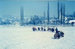 Die Schlittenparade 1956 auf dem Sempachersee. (Bild: Stadtarchiv Sempach)