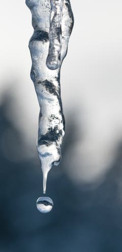 Schmelzendes Eis bei kühlenden Temperaturen offenbart die wunderschöne Natur. (Bild: Stephan Dietschweiler)