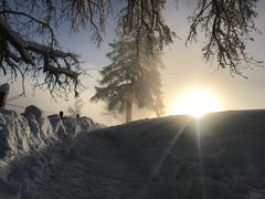 Abendspaziergang am Waltramsweg in Rotmonten. (Bild: Nadja Stach)