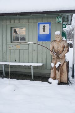 Was wird diese Fischer wohl für Infos abgeben? Aufgenommen in Wiedehorn, Egnach. (Bild: Margrith Hengartner)