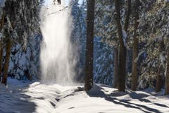 Schneestaubfall im Steineggwald oberhalb des Wenigerweihers. Oben taut es - unten stiebt es. (Bild: Franz Häusler)