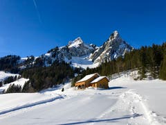 Kleiner Mythen und Haggenspitz vom Skigebiet Brunni Alpthal aus gesehen. (Bild: Markus Brülhart, Brunni Alpthal, 6. Februar 2019)