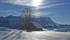Die wärmende Februarsonne. (Bild: Walter Schmidt)