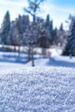 Liebe im Detail, Schnee einmal anders. Aufgenommen in Hemberg. (Bild: Stephan Dietschweiler)