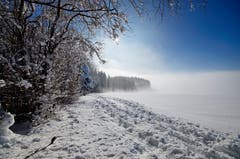 Der Blosenberg reichte grad aus, um über dem Nebel den Wintertag zu geniessen. (Bild: Marianne Schmid, Gunzwil, 6. Februar 2019)