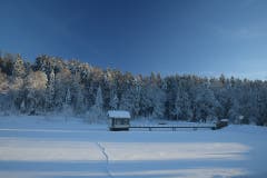 Der Wenigerweiher im Wintergewand. (Bild: Daniel Locher)
