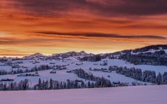 Morgenrot-Spektakel am Hinterhof Herisau. (Bild: Luciano Pau)